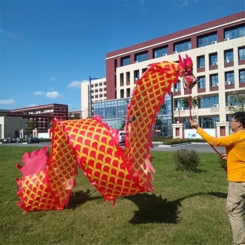 8Meter 3D Dragon Head Fitness  - Outdoor Sport Gym recension och pris