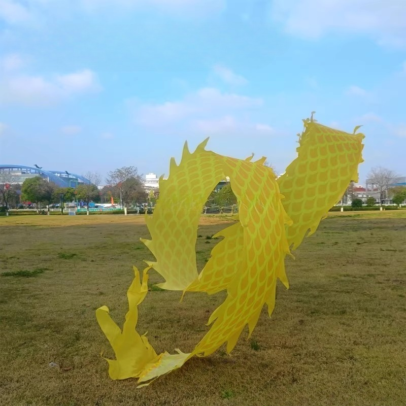 8Meter 3D Dragon Head Fitness  - Outdoor Sport Gym recension och pris